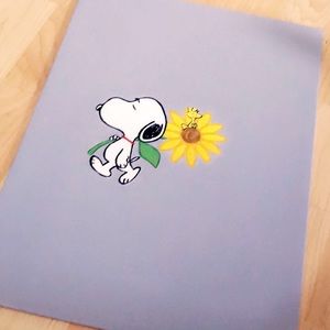 Snoopy Wall Art!